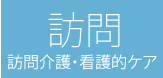 訪問訪問介護・看護的ケア